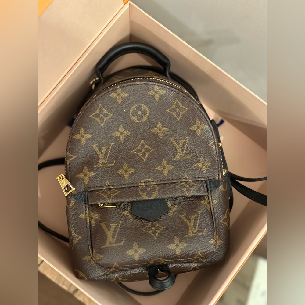 LOUIS VUITTON PALM SPRING BAG